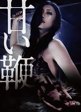《甜蜜皮鞭》：不只是一场欲望游戏，更揭示了人性深处的控制与被控制！