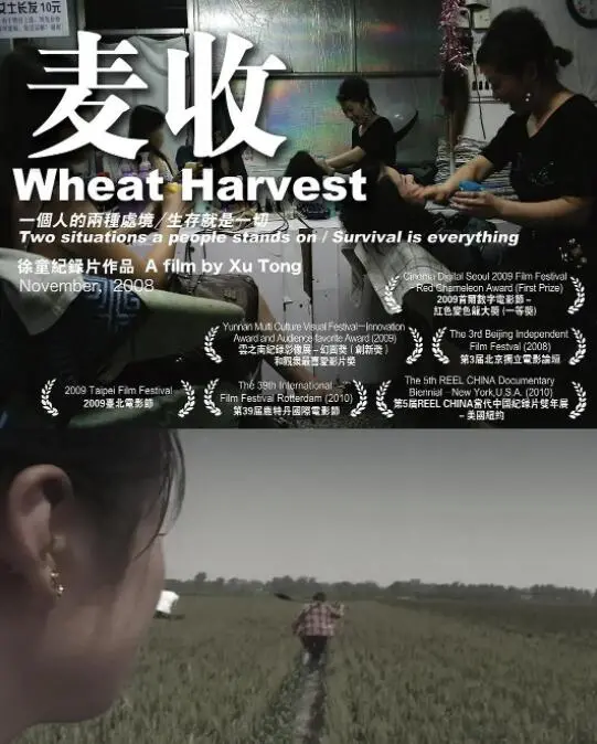 《麦收》：农村题材的尺度天花板？看完差点被《宣武门》整不会了！